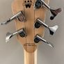 Warwick Rock Bass Image 4