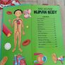 Make your own human body model Puzzle and book Image 7