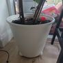 Ikea Self Watering Large Planter Pot, Wheels, 32cm Image 4