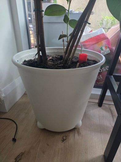 Ikea Self Watering Large Planter Pot, Wheels, 32cm