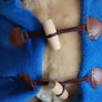 Paddington Bear  Designs 2024 Soft Toy Plush Image 5