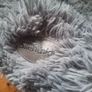 silentnight snuggle pod Image 2