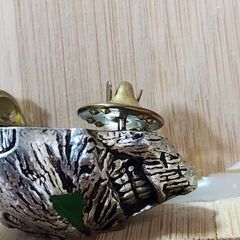pin badge