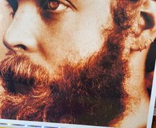 Bonnie 'Prince' Billy - Master And Everyone
