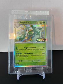 pokemon staff stamped promo cards