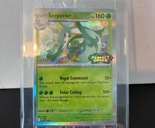 pokemon staff stamped promo cards