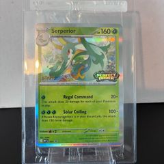 pokemon staff stamped promo cards