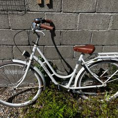 Ladies bike
