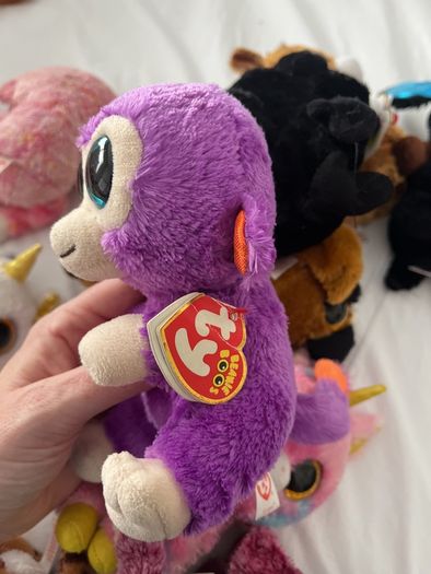 beanie boo with tags