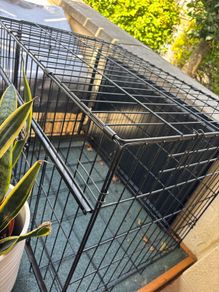 dog cage