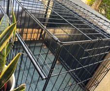 dog cage