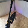 Ienyrid Es60 Electric Scooter Image 6