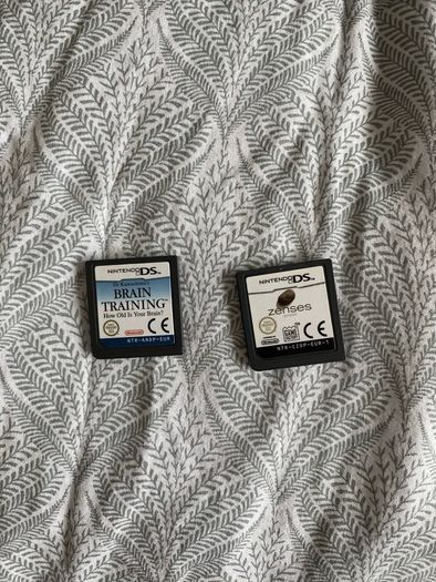 Nintendo DS Lite with games and pedometer