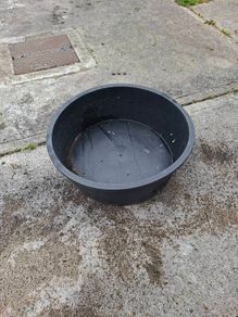 plant pot