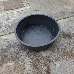 plant pot