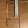Ledvance Led Strip V-1000 - 3.25m 24V 26W 3280lm Image 6