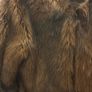 faux Fur Coat Image 6