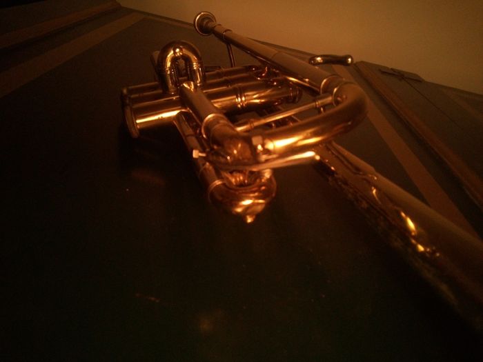 Bach Stradivarius Model 239 (in C) Professional trumpet