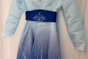Elsa Costume 8-10 yrs