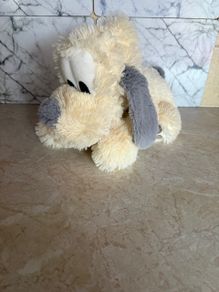 Disney Dog