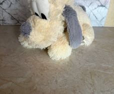 Disney Dog