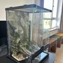 terrarium Image 3