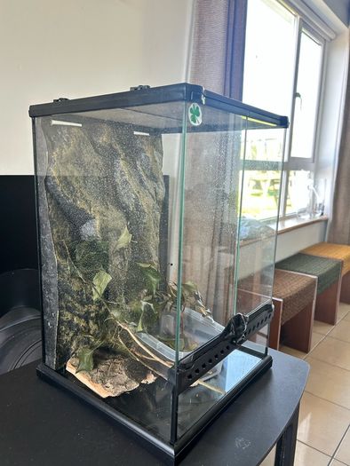 terrarium