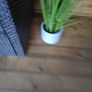 Artifical grass plant Image 2