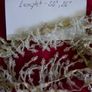 Vintage Dangling Fringe Trim, Beaded Fringe Trim Image 6