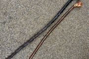 Black thorn and Hazel walking sticks X2