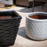 Avoca Pots Multiple Pairs Image 5