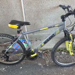 Enduro Mountain Bike