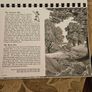 29 ink drawings of various tree species by artist S. R. Badmin. It's in binder form with 29 description of each of the  trees. See photos for same. Image 9