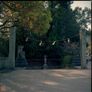 Film Scanning (35mm & 120mm) Image 5