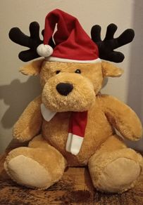 Large Plush Toy