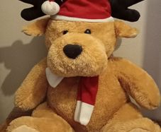 Large Plush Toy