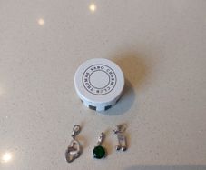 Thomas Sabo charms