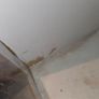 Hamster Cage (Free) Image 3