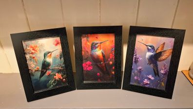 Trio of Framed Hummingbirds