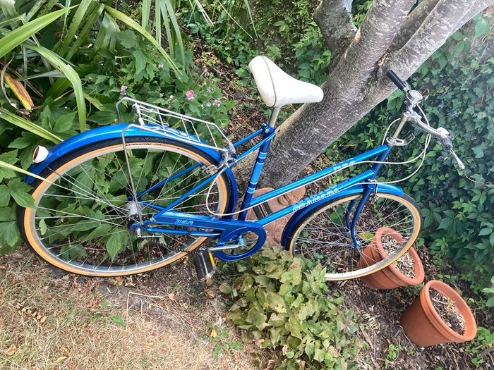 Vintage Raleigh Bike