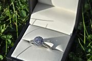 Brand New 18ct White Gold Round Halo Cluster Engagement Ring