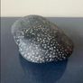 Natural Fossilized Coral Pebble Image 7