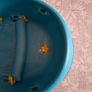 Baby Bath Image 3