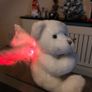 Angel Bear, plays Silent Night on violin Image 2