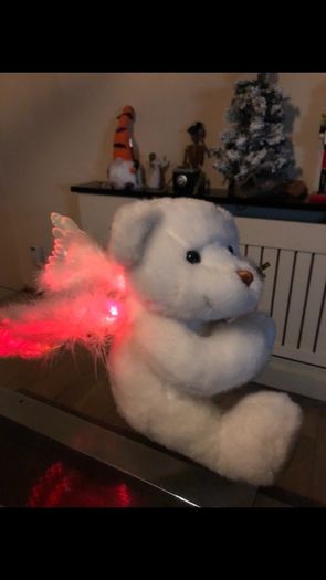 Angel Bear, plays Silent Night on violin