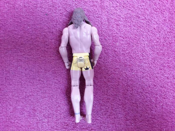 WWE Matt Riddle Action Figure