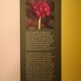 The Apprehensive Gardener: Managing Garden Plants  Griselda Kerr Image 2