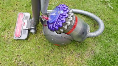 Dyson Big Ball Animal  CY23 Vacuum Cleaner Worked Well