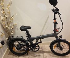 Electric adult bicycle