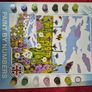 4euro each Image 2
